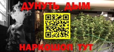 прущие грибы Новозыбков