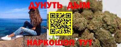 прущие грибы Новозыбков
