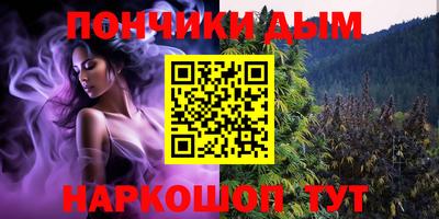 стаф Нальчик