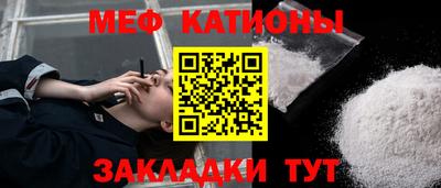 прущие грибы Новозыбков