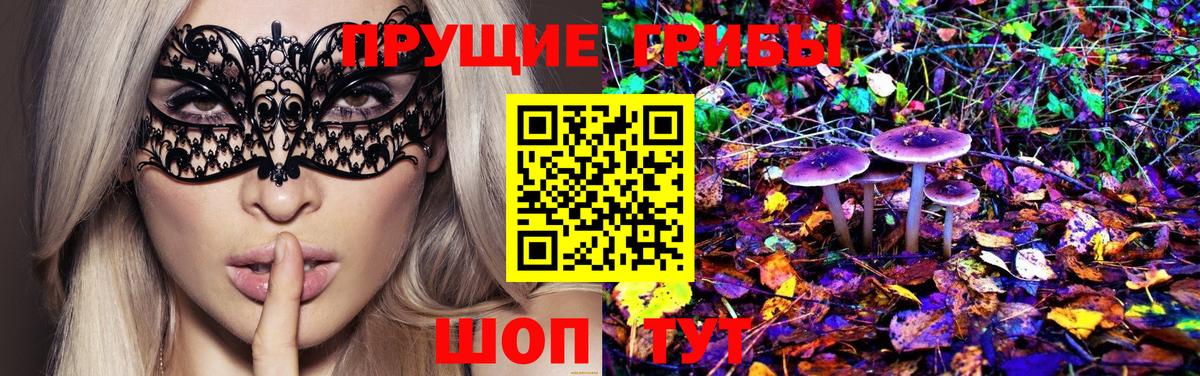 купить  цена  Галлюциногенные грибы GOLDEN TEACHER  Вход с VPN  Урюпинск 