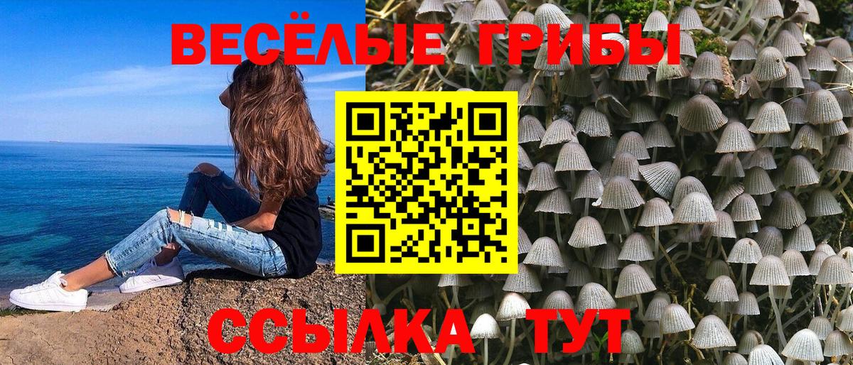Псилоцибиновые грибы MAGIC MUSHROOMS Урюпинск